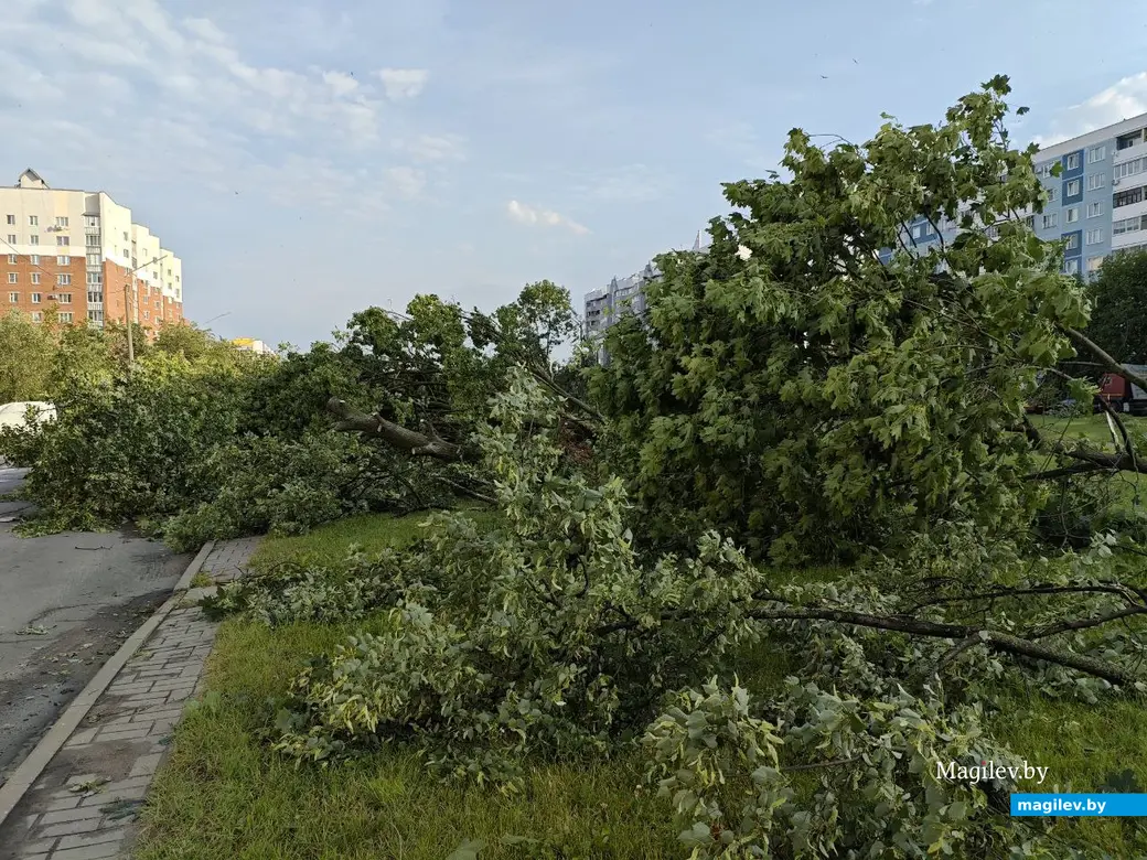 10 июля 2025 года. Могилев. Бульвар Непокоренных.