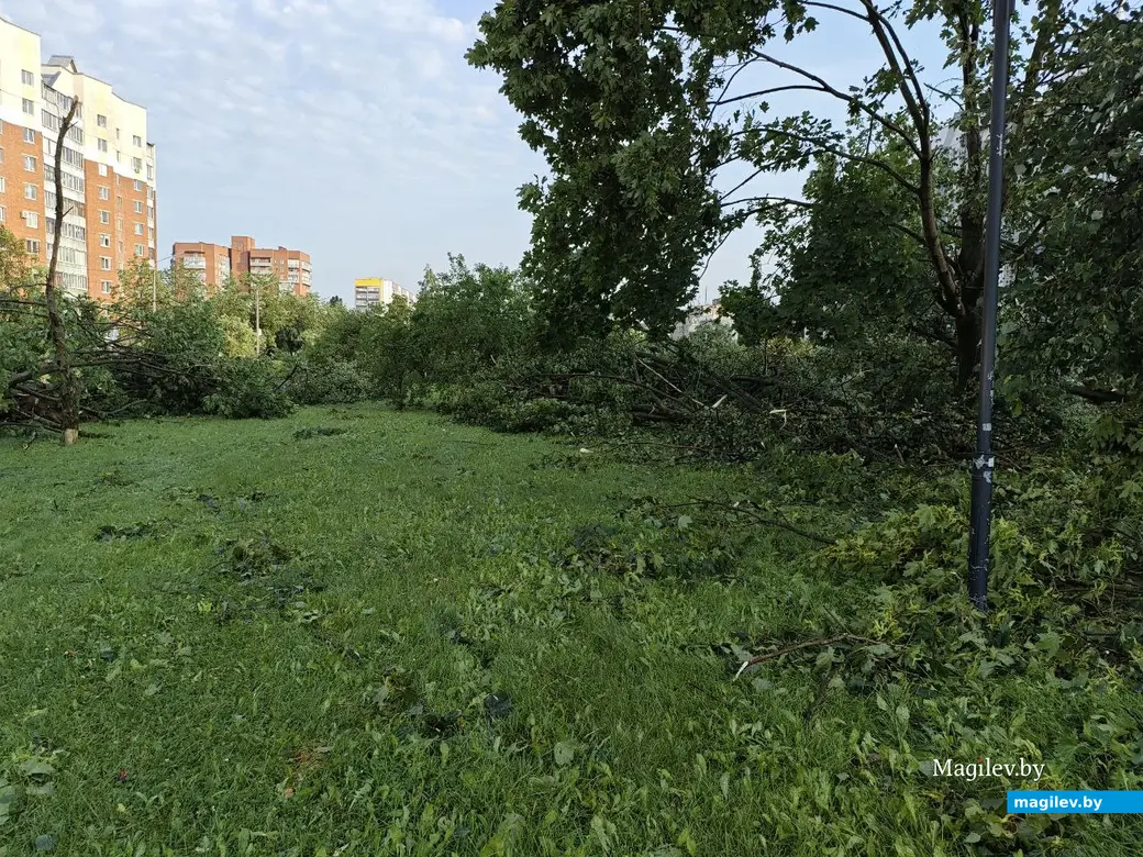 10 июля 2025 года. Могилев. Бульвар Непокоренных.