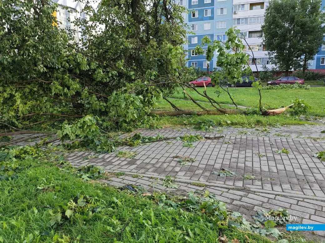 10 июля 2025 года. Могилев. Бульвар Непокоренных.