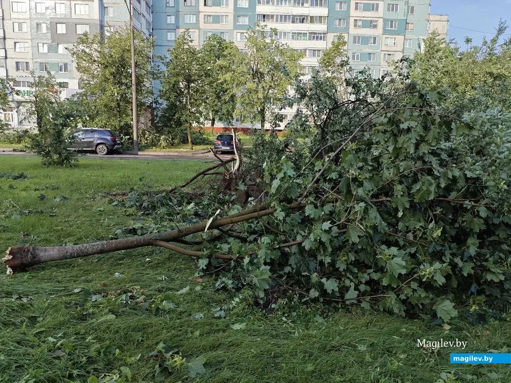 10 июля 2025 года. Могилев. Бульвар Непокоренных.
