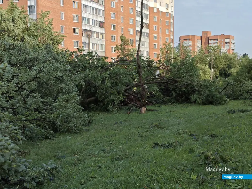 10 июля 2025 года. Могилев. Бульвар Непокоренных.