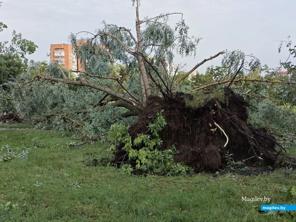10 июля 2025 года. Могилев. Бульвар Непокоренных.