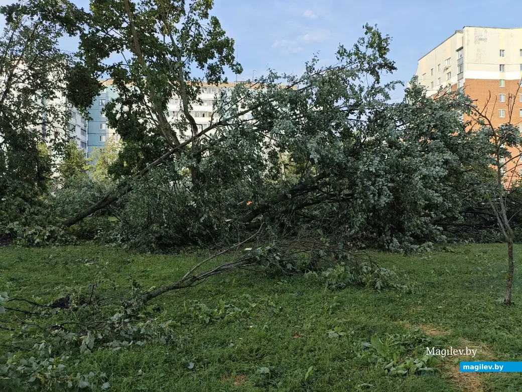 10 июля 2025 года. Могилев. Бульвар Непокоренных.