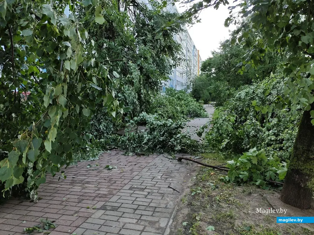 10 июля 2025 года. Могилев. Бульвар Непокоренных.
