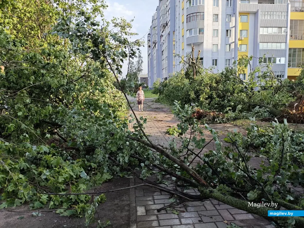 10 июля 2025 года. Могилев. Бульвар Непокоренных.