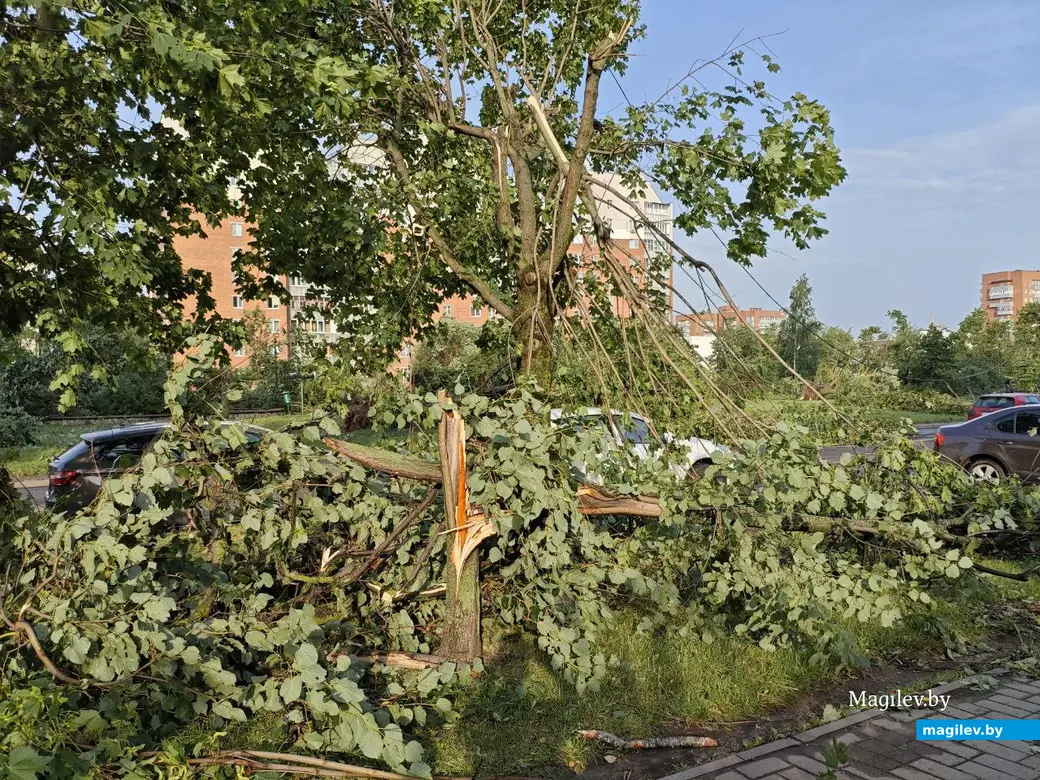 10 июля 2025 года. Могилев. Бульвар Непокоренных.