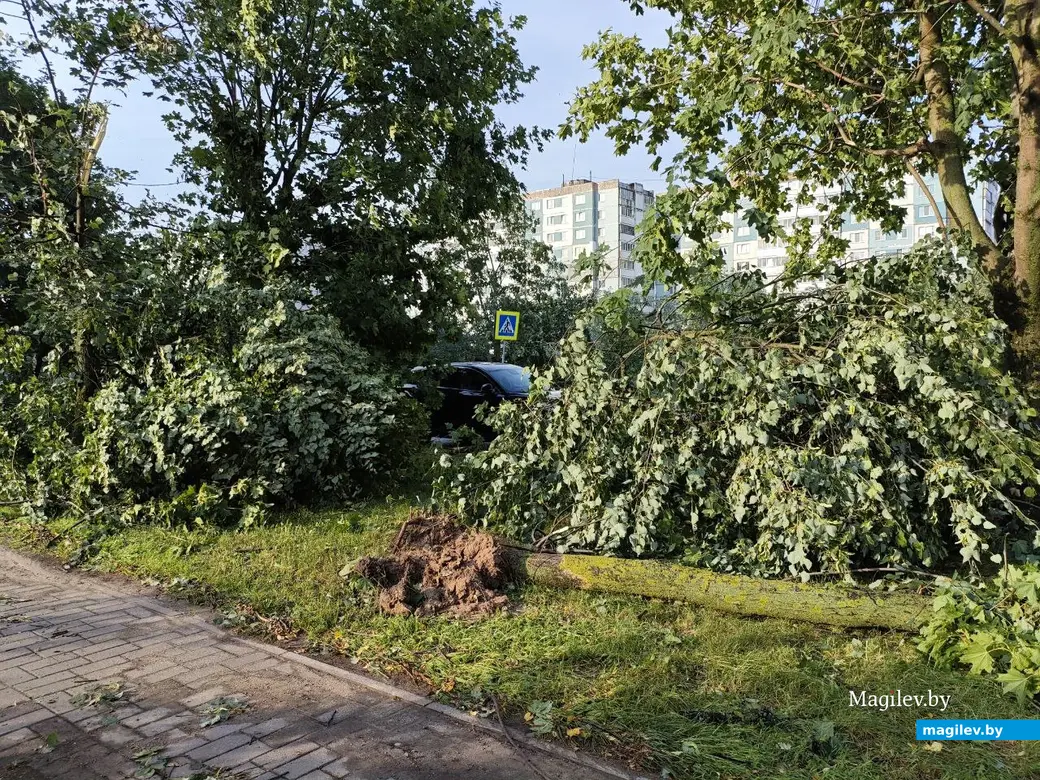 10 июля 2025 года. Могилев. Бульвар Непокоренных.