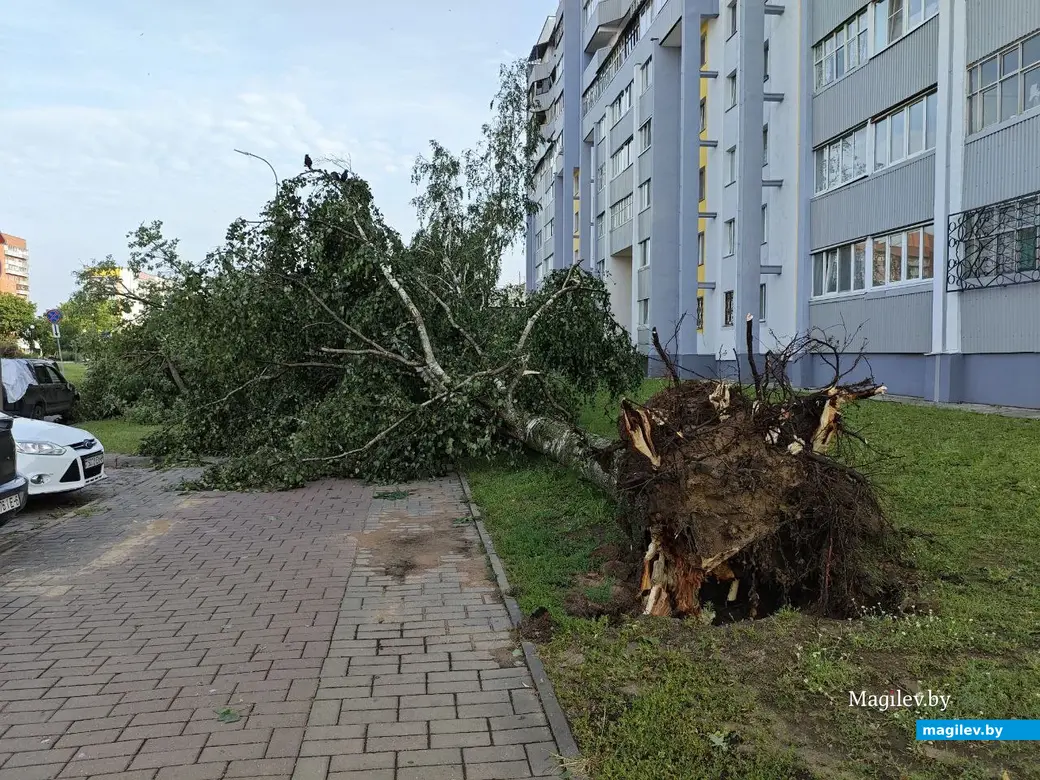 10 июля 2025 года. Могилев. Бульвар Непокоренных.