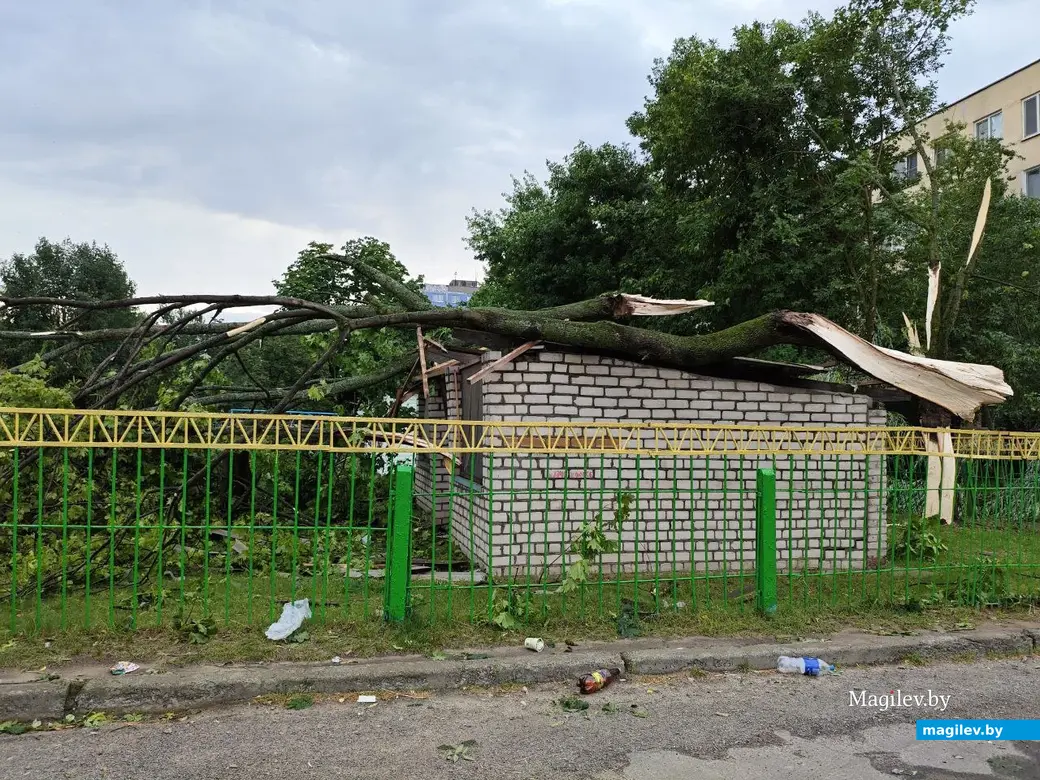 10 июля 2025 года. Могилев. Дворы проспекта Шмидта.