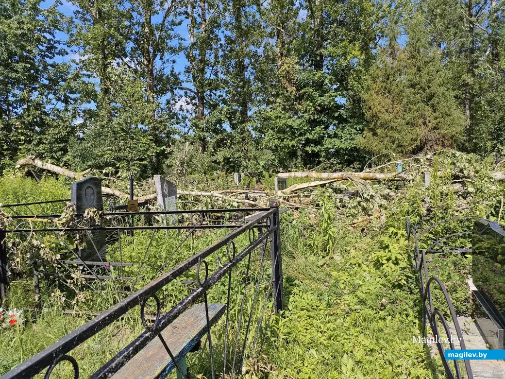 12 июля 2025 года. Могилев. Еврейское кладбище.