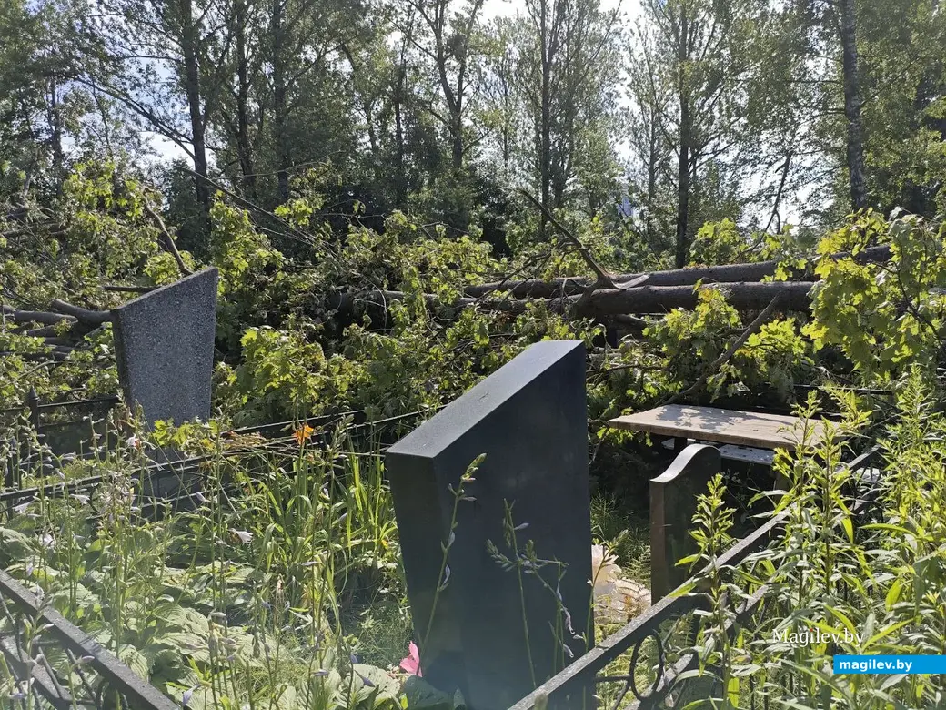 12 июля 2025 года. Могилев. Еврейское кладбище.