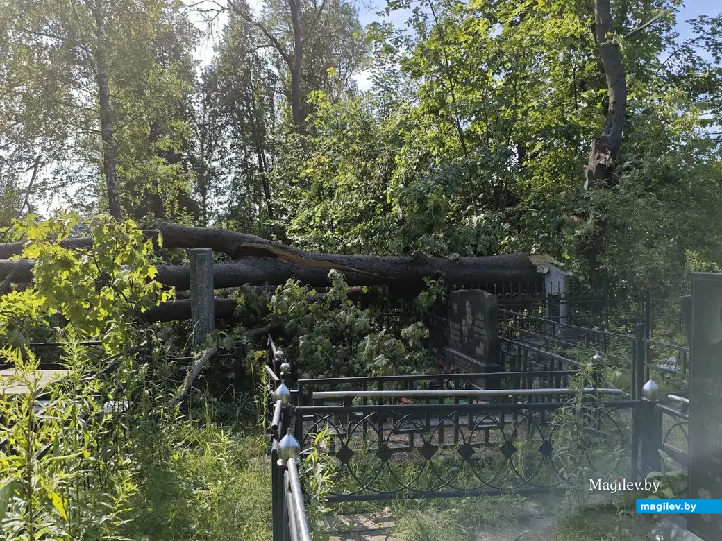 12 июля 2025 года. Могилев. Еврейское кладбище.