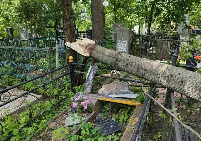 От урагана пострадали кладбища Могилева. Фоторепортаж