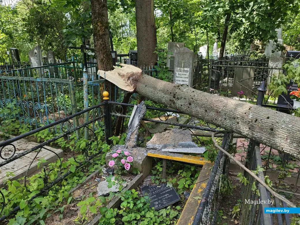 12 июля 2025 года. Могилев. Машековское кладбище.