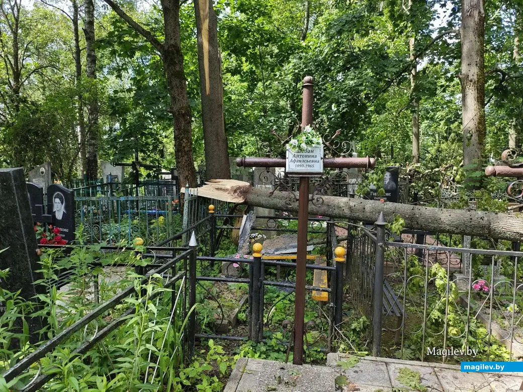 12 июля 2025 года. Могилев. Машековское кладбище.