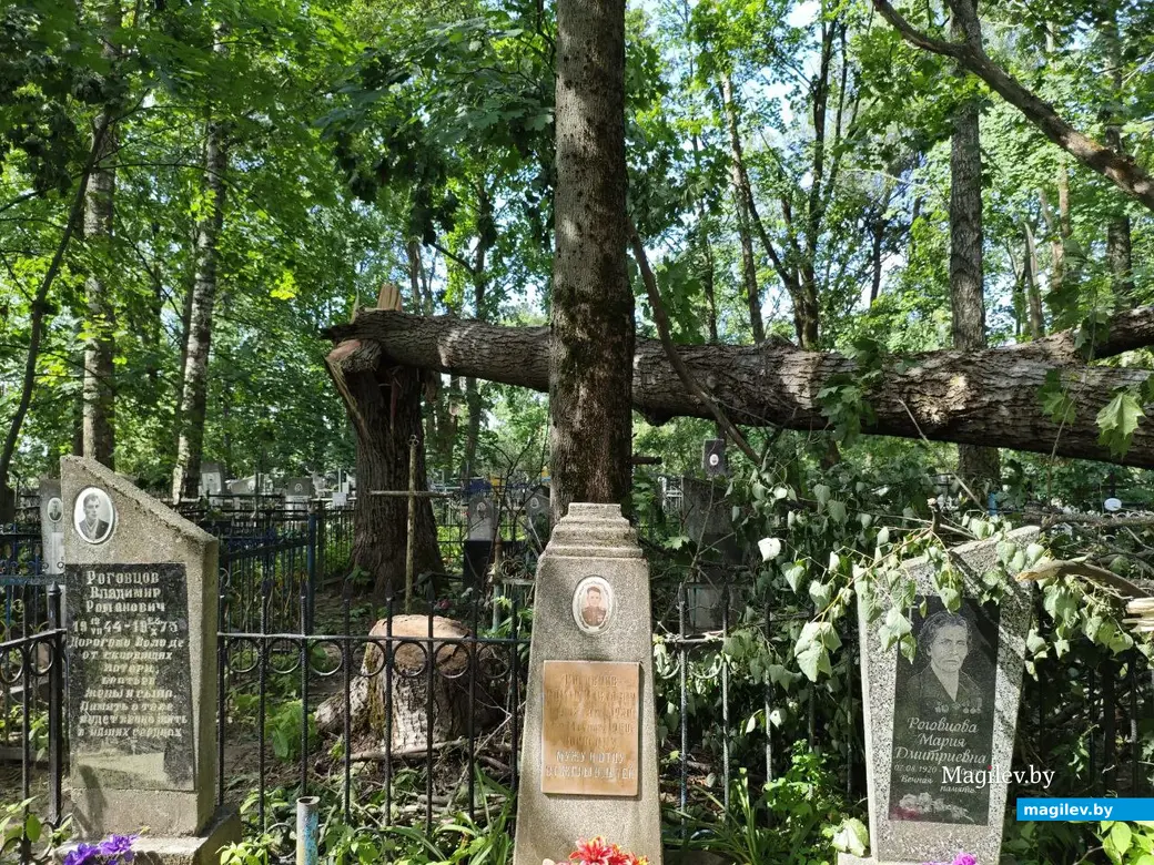 12 июля 2025 года. Могилев. Машековское кладбище.