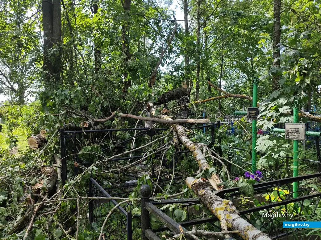 12 июля 2025 года. Могилев. Машековское кладбище.