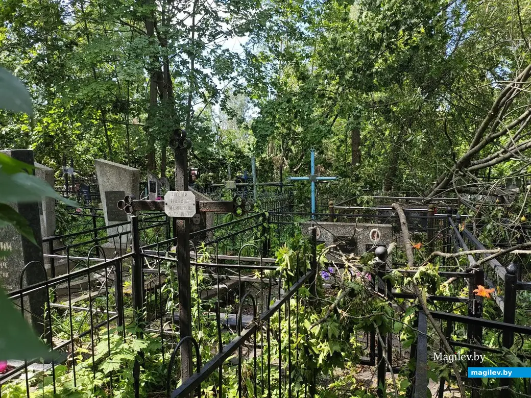 12 июля 2025 года. Могилев. Машековское кладбище.