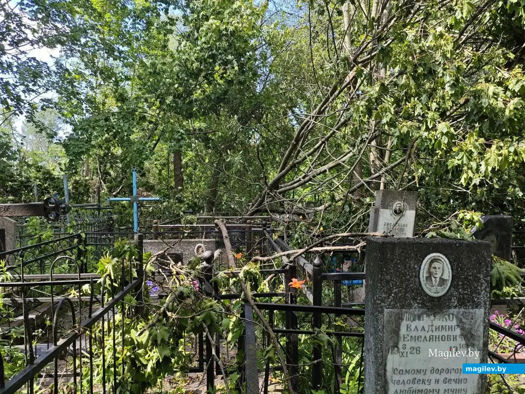 12 июля 2025 года. Могилев. Машековское кладбище.