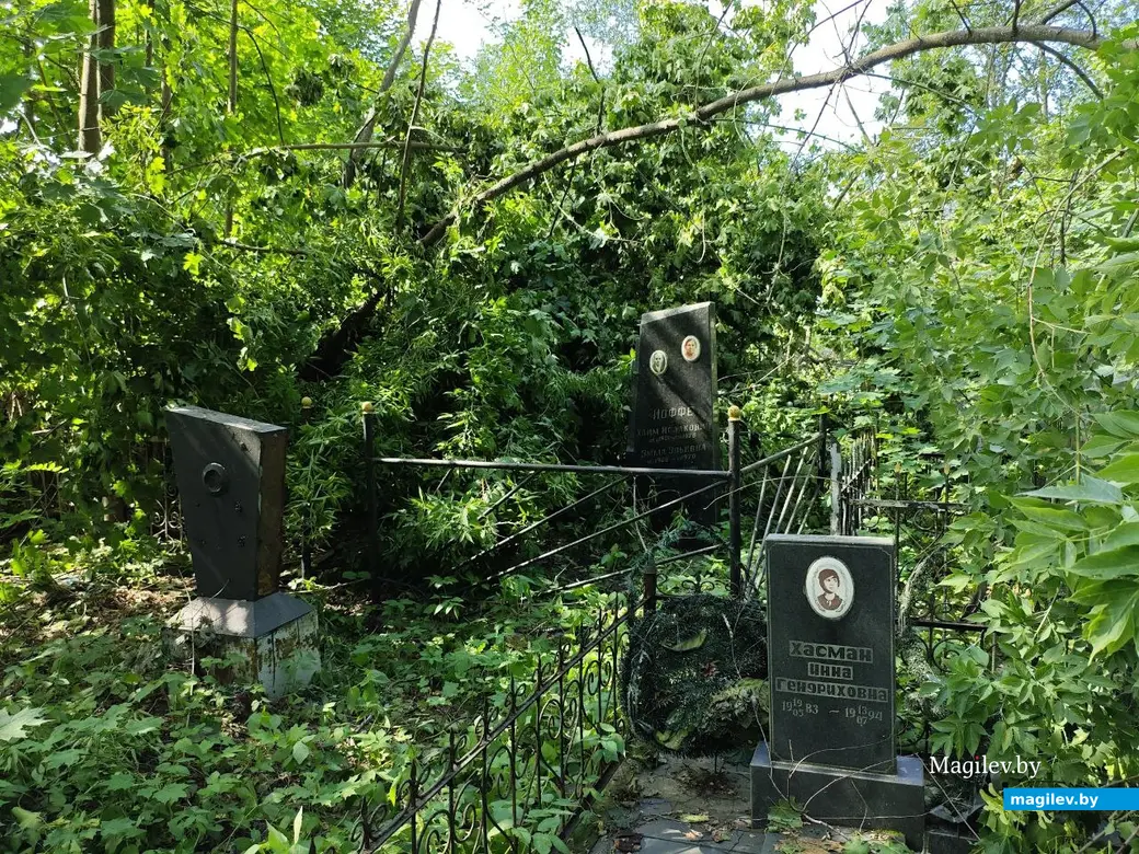 12 июля 2025 года. Могилев. Еврейское кладбище.