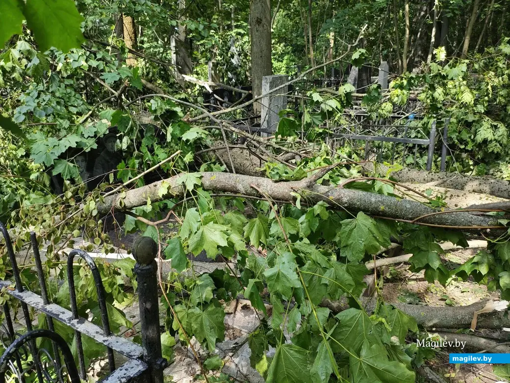 12 июля 2025 года. Могилев. Еврейское кладбище.