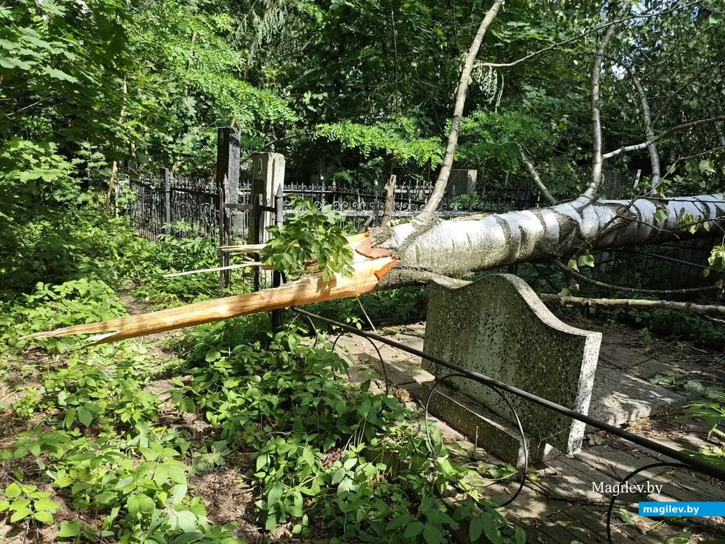 12 июля 2025 года. Могилев. Еврейское кладбище.