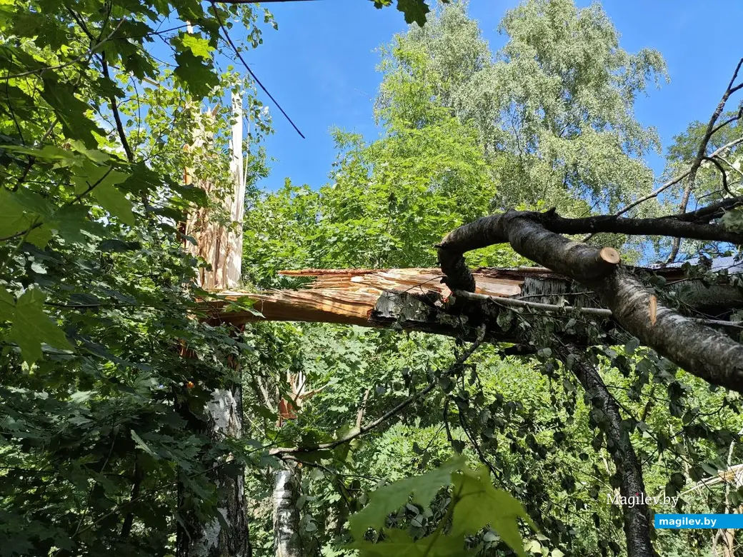 12 июля 2025 года. Могилев. Еврейское кладбище.