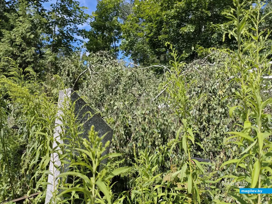 12 июля 2025 года. Могилев. Еврейское кладбище.