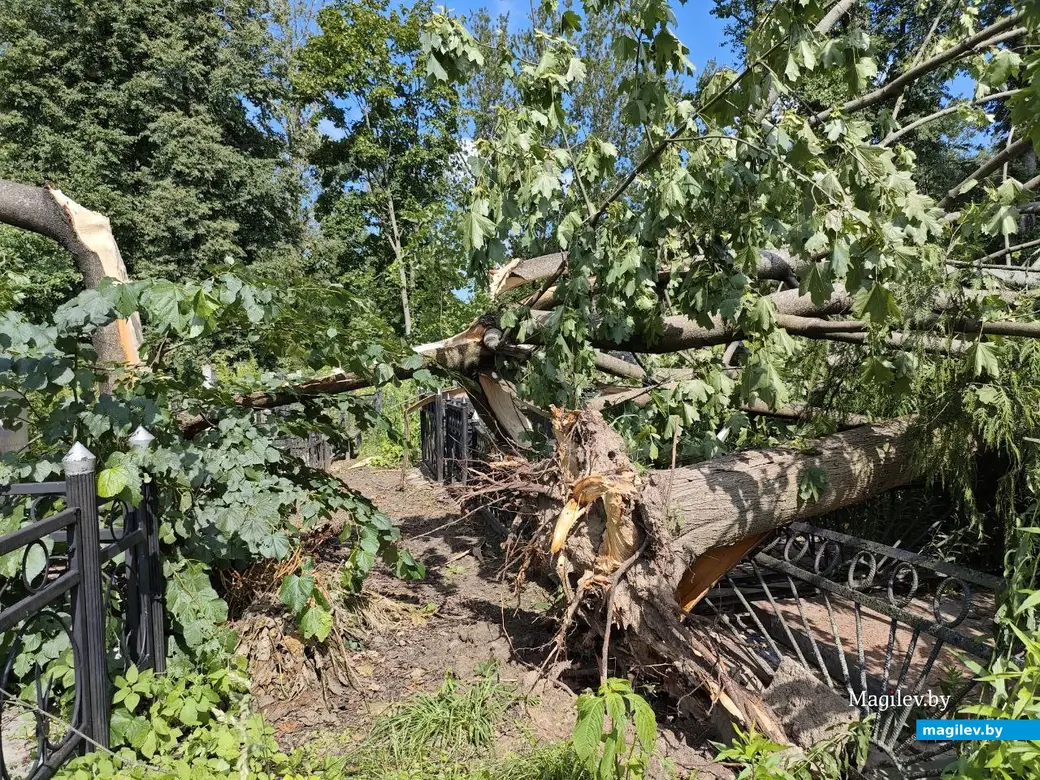 12 июля 2025 года. Могилев. Еврейское кладбище.