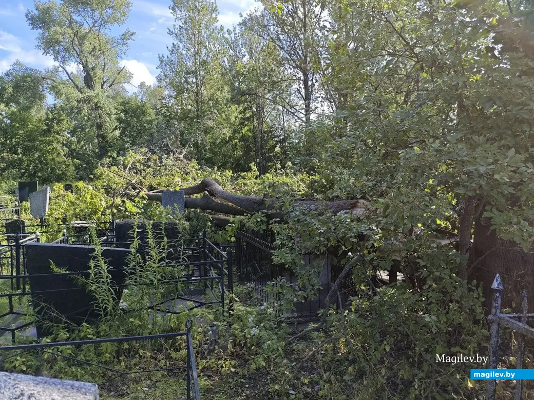 12 июля 2025 года. Могилев. Еврейское кладбище.