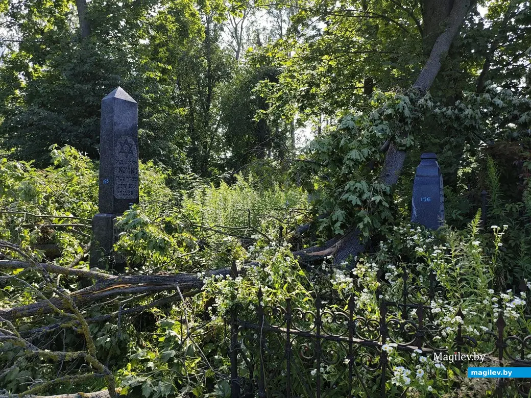 12 июля 2025 года. Могилев. Еврейское кладбище.