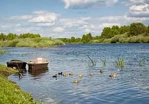 В Могилеве дожди маловероятны и жарко: какой будет погода в понедельник 14 июля