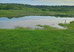 В Кличеве подросток решил переплыть реку и начал тонуть