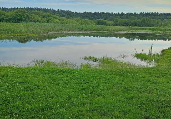 В Кличеве подросток решил переплыть реку и начал тонуть