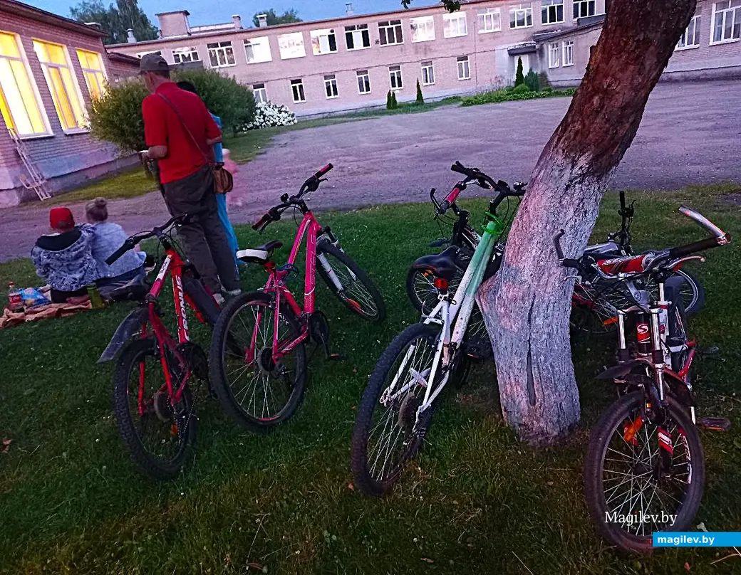 14.07.2025, Могилев, микрорайон Казимировка, яблоневый сад школы № 19. Кино под открытым небом.