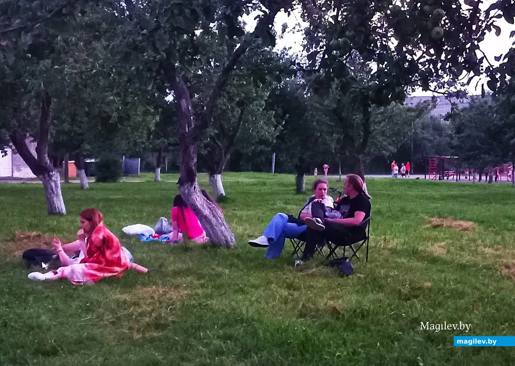 14.07.2025, Могилев, микрорайон Казимировка, яблоневый сад школы № 19. Кино под открытым небом.