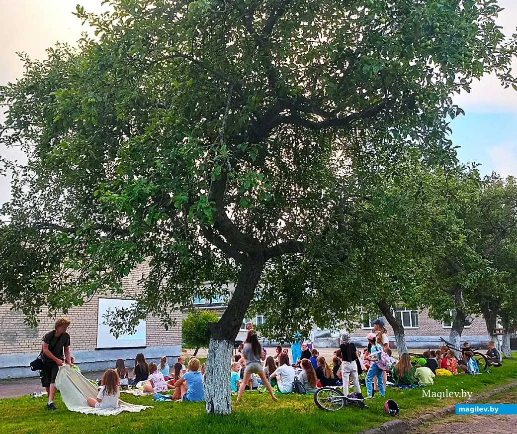 14.07.2025, Могилев, микрорайон Казимировка, яблоневый сад школы № 19. Кино под открытым небом.