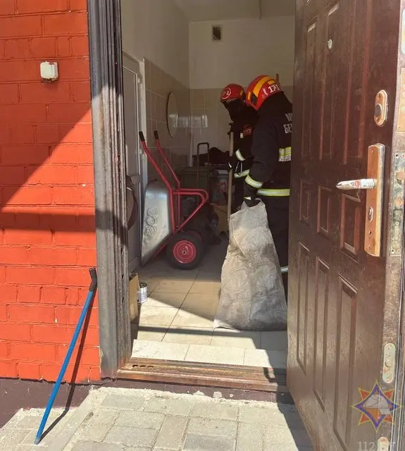 15 июля 2025 года. Гадюка заползла в общественный туалет городского парка культуры и отдыха в городе Столин. Фото: МЧС.