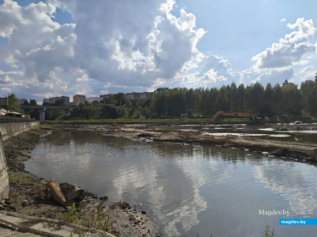 16 июля 2025 года. Могилев. Проспект Мира. Река Дубровенка.