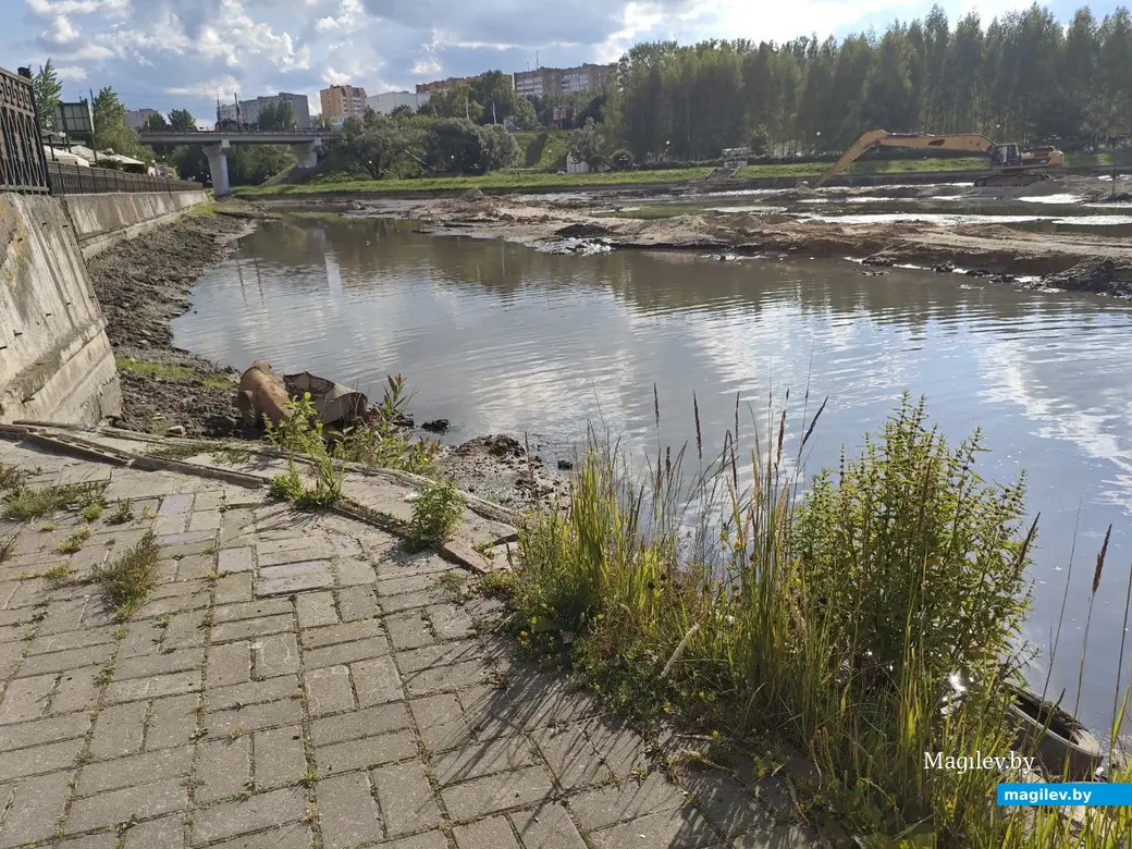 16 июля 2025 года. Могилев. Проспект Мира. Река Дубровенка.