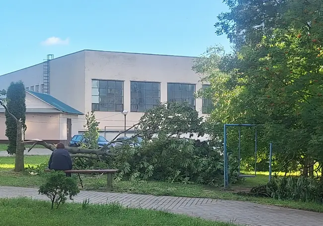 Как спустя время чувствуют себя пострадавшие в Могилеве из-за урагана люди? Узнали в больницах