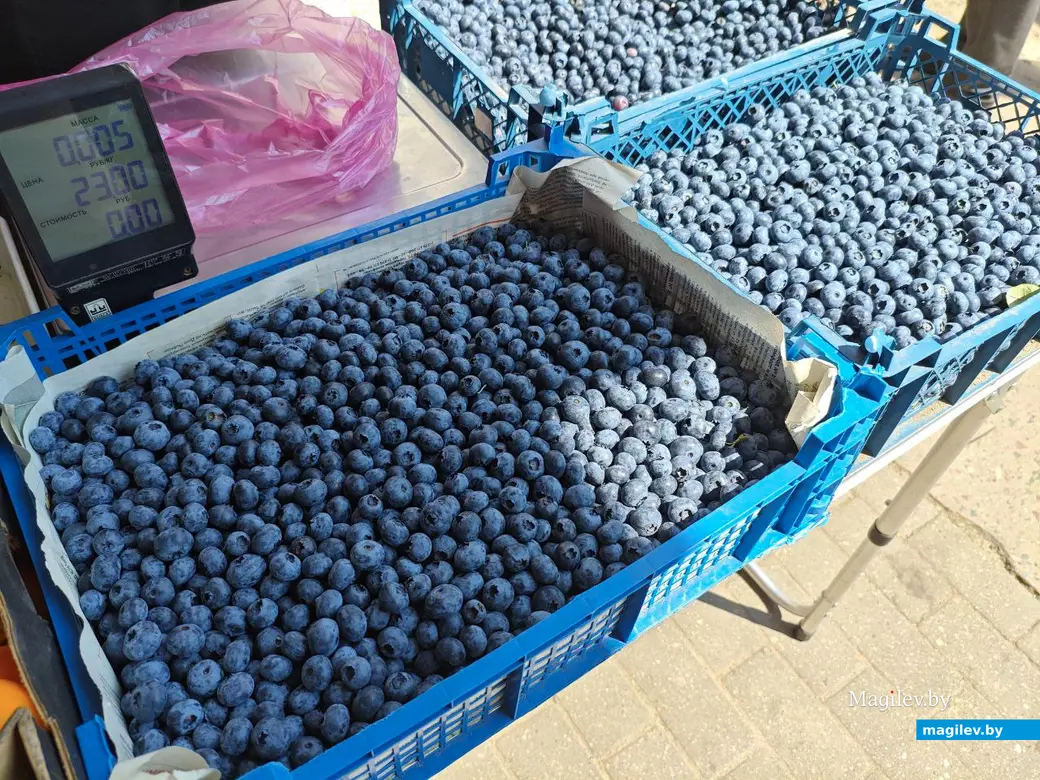 Лето 2025 года. Могилев. Рынок. Голубика.