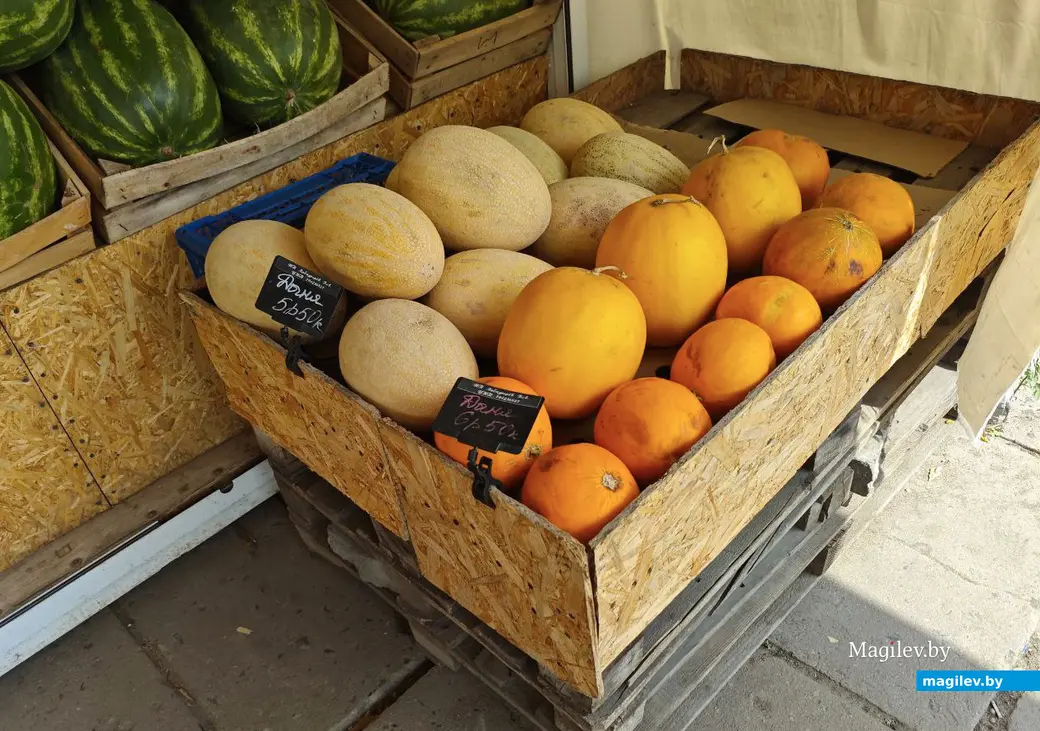 16 июля 2025 года. Могилев. Рынок по улице Островского.