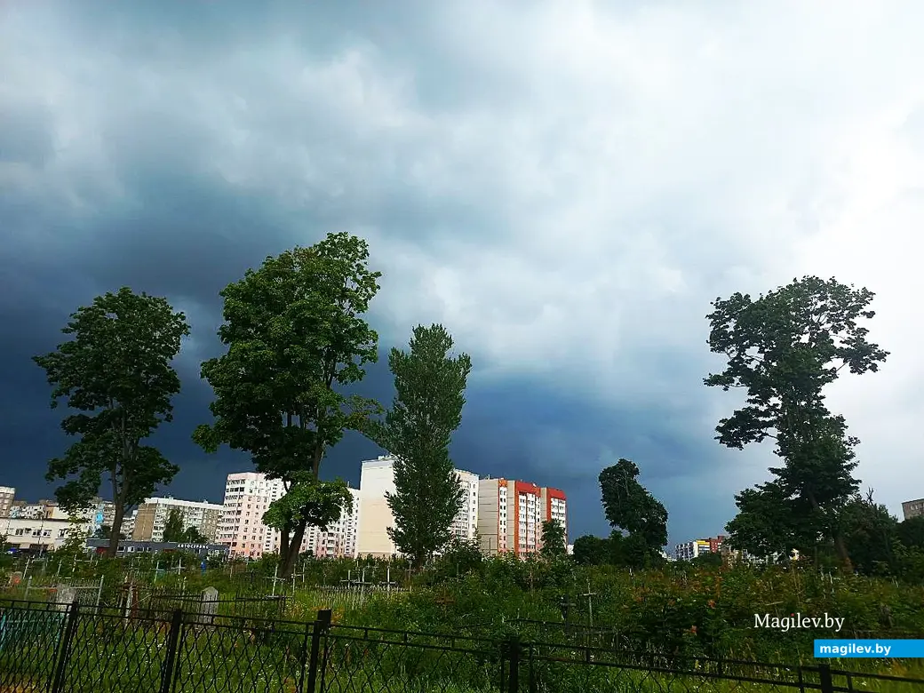Июль 2025 года, Могилев. Окрестности бульвара Непокоренных со стороны улицы Гагарина.
