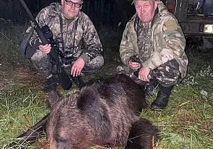 Второй медведь добыт в качестве трофея в Беларуси