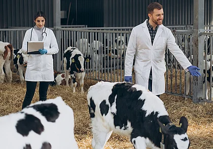 Ветеринарным работникам подняли надбавку к зарплате. Сколько они будут получать?