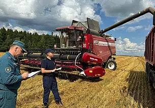 В Могилевской области прокуратура выявила нарушения во время уборочной кампании