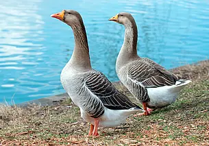 До какой температуры прогрелась вода в реках и озерах Беларуси, рассказали в Белгидромете
