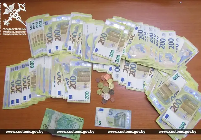 Женщина хотела незаконно ввезти в Беларусь из Литвы 50 тыс. евро. Декларировать валюту не стала