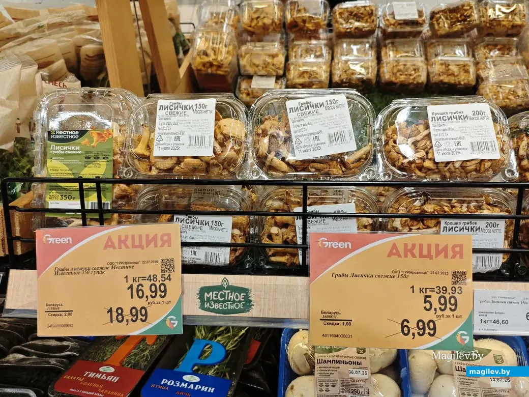 23 июля 2025 года. Могилев. ТЦ «Грин».